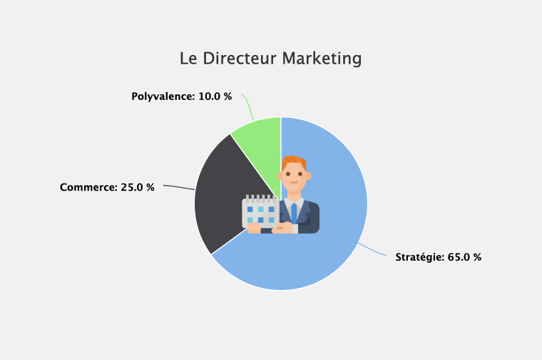 Le Directeur Marketing