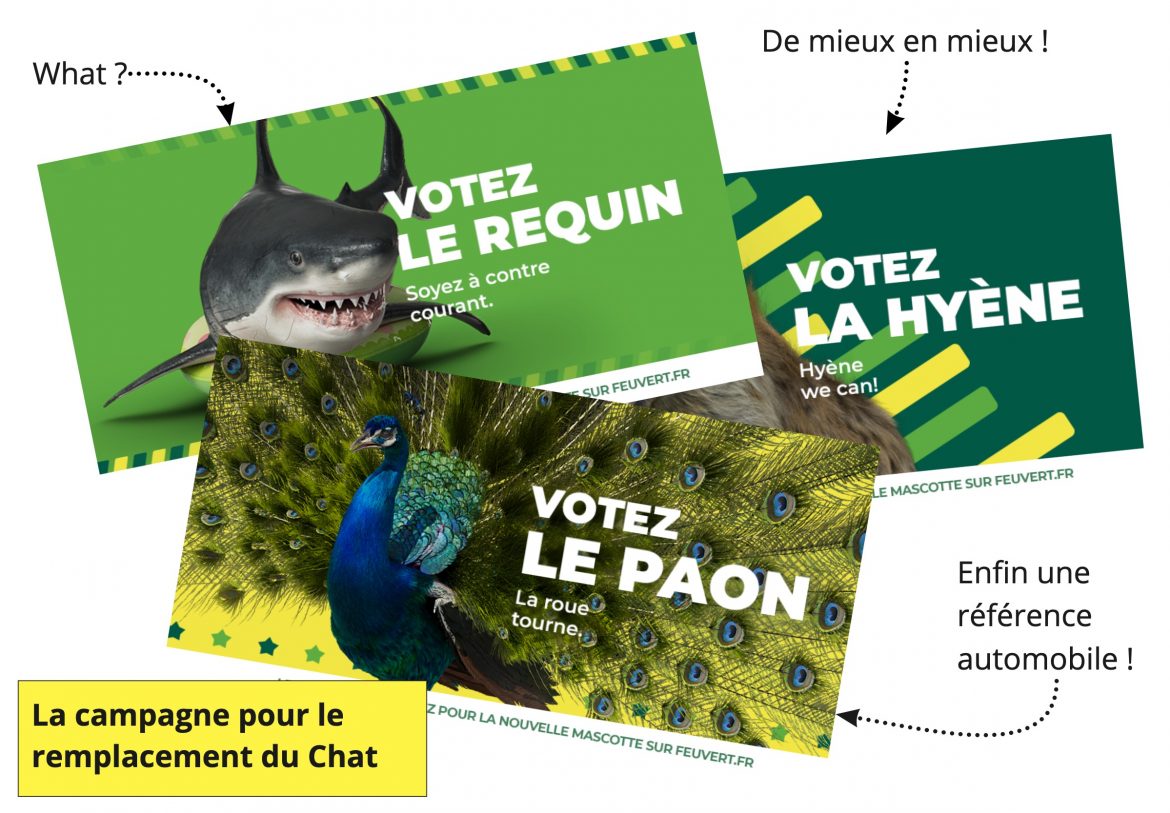 IL NE FAUT PAS REMPLACER LE CHAT DE CHEZ FEU VERT !